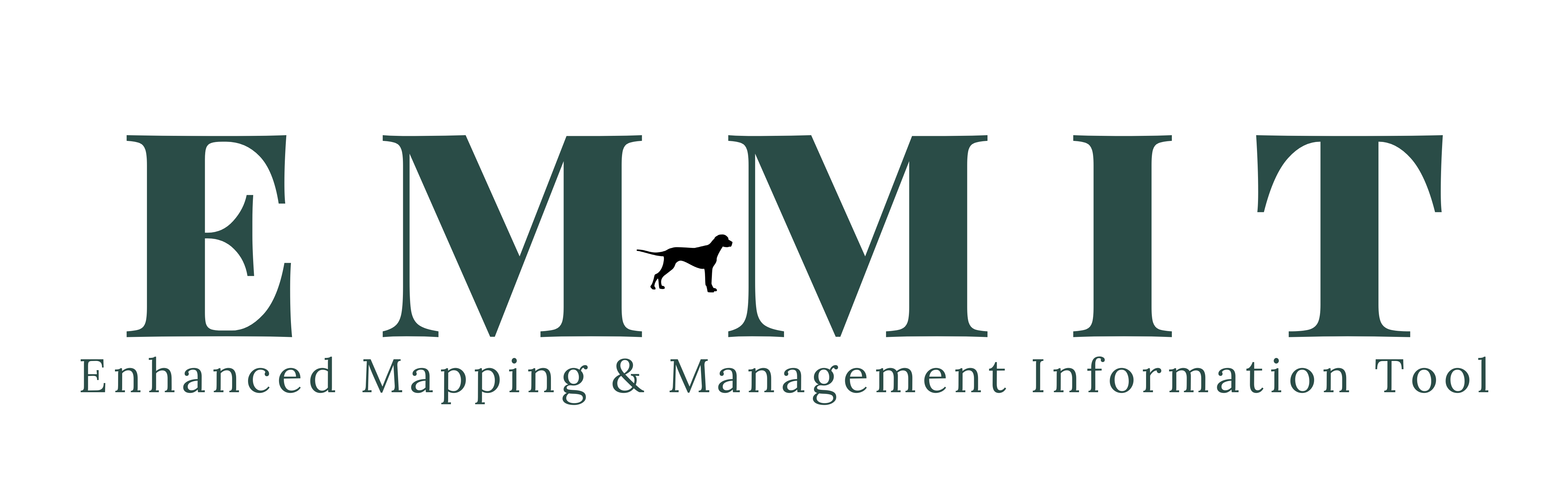 EMMIT Logo